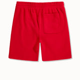 SYIP Tonal Shorts