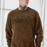 Plush Crewneck Sweater (Brown)